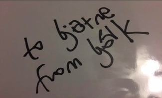 Authentic Bjork  Autograph Exemplar