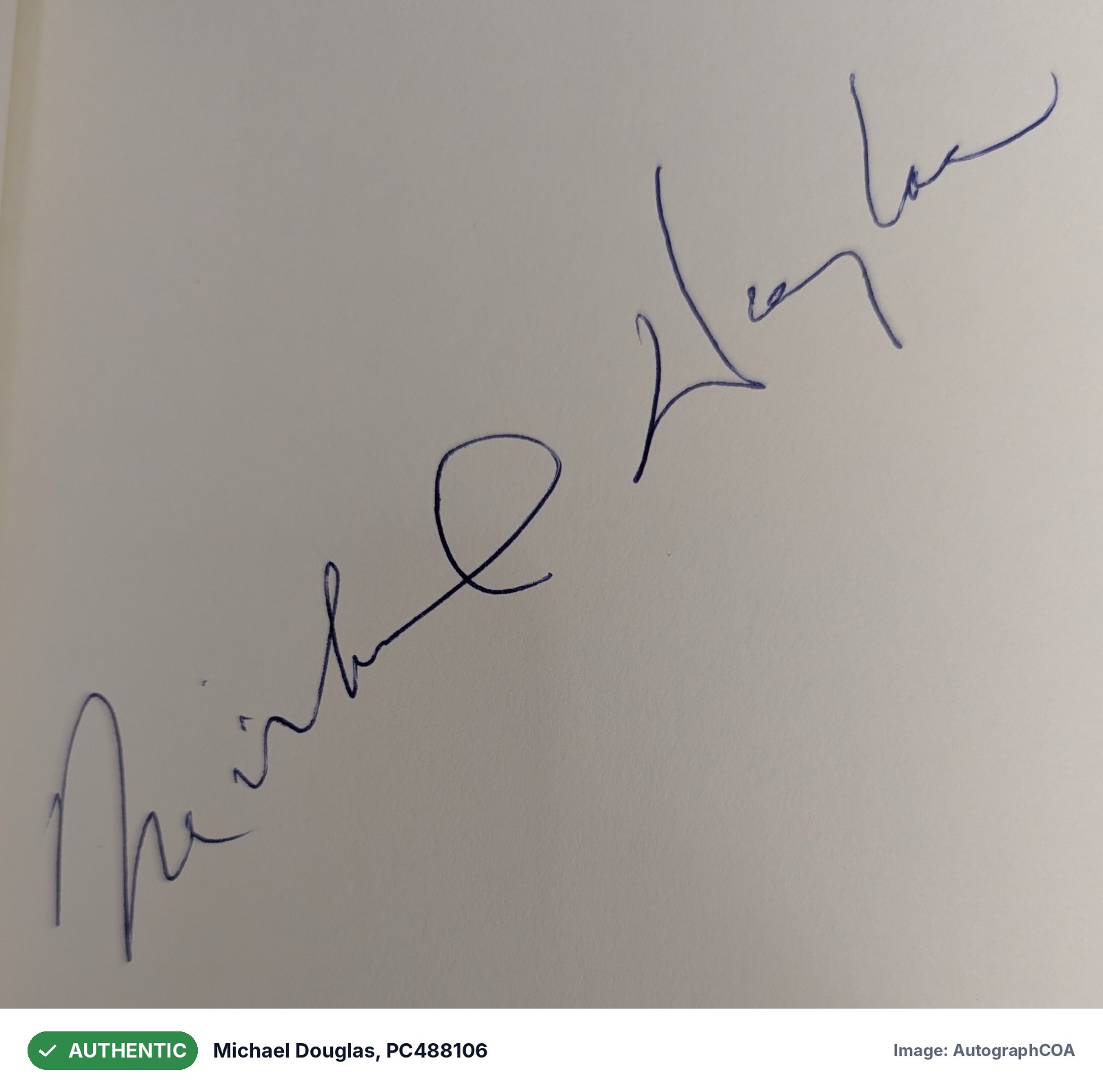 Authentic signature close-up
