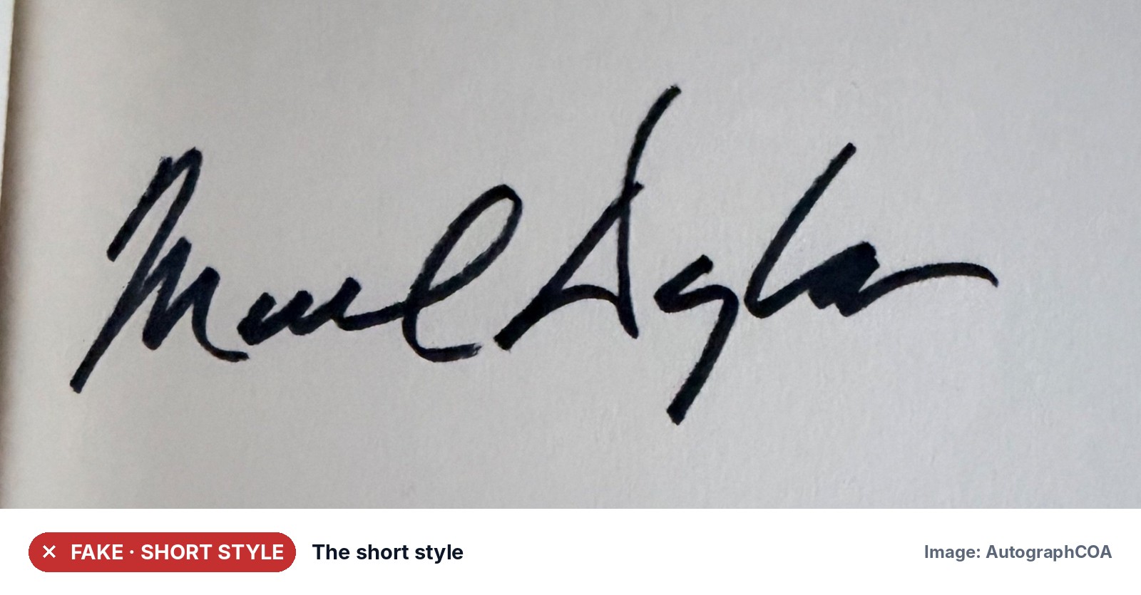Fake · short style signature close-up
